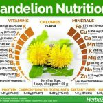 Dandelion: Herbal Cantik Berkhasiat