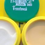 THE Face Temulawak Day Cream