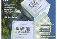 Cek Ingredients Crushlicious Mugwort Acne Warrior Moisturizer