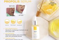 Mengulas Ingredients Hanasui Propolis Serum