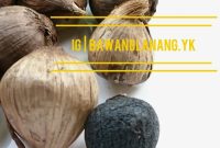 Bawang Hitam Untuk Masker Wajah terbaru