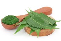 Mengenal daun Neem dalam skincare