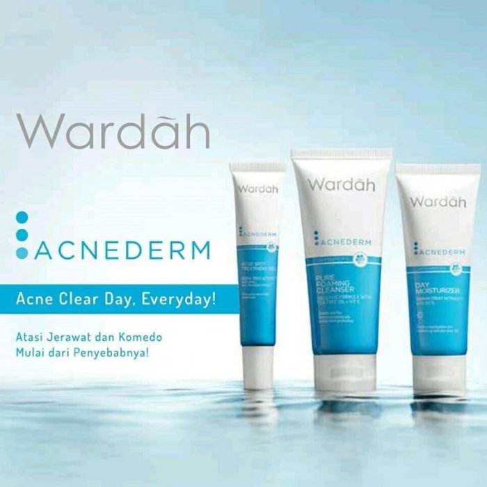 Penjelasan Ingredients Wardah Acnederm Day Moisturizer terbaru