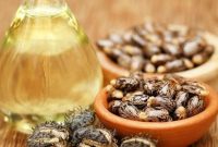 Castor Oil untuk Kulit atau Rambut Lebat terbaru