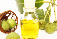 Cek Ingredients Glourganic Tamanu