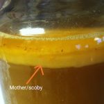 18 Manfaat Cuka Apel dan Cara Membuatnya (Step by Step) Dijamin Berhasil.
