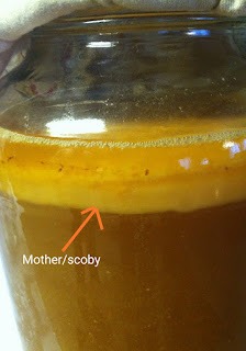 18 Manfaat Cuka Apel dan Cara Membuatnya (Step by Step) Dijamin Berhasil.