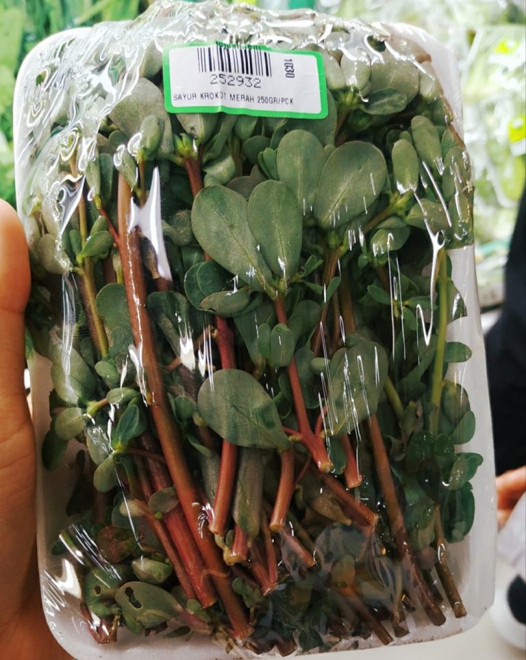 8 Manfaat Krokot Untuk Kecantikan