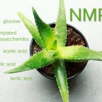 Apa saja kegunaan Aloevera Gel?
