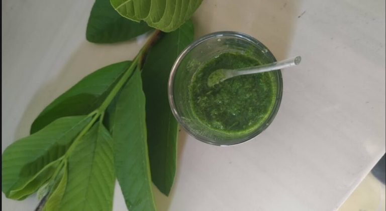 Cara Membuat Masker Daun Jambu Biji [ Ulasan Lengkap]