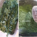 Cara Membuat Masker Turi untuk Wajah [step by step]