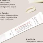 Cek Ingredients Acnaway Anti Acne and Blemish Relief Acne Cream