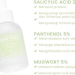 Cek Ingredients Bright Diary Acne Serum 2.0 (2% Salicylic acid + 5% panthenol + 5% Mugwort)