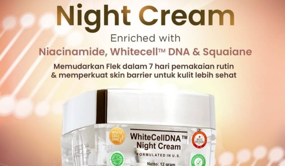 Cek Ingredients Ms Glow WhiteCellDNA Night Cream