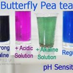 [DIY] Sheetmask Saffron-Telang