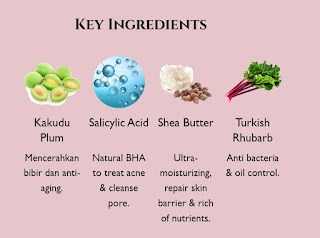 Kenali Ingredients Azarine Acne Mark Fading Lotion Whitening