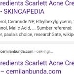 Konten SKINCAPEDIA dicuri oleh cemil**bun** dot com