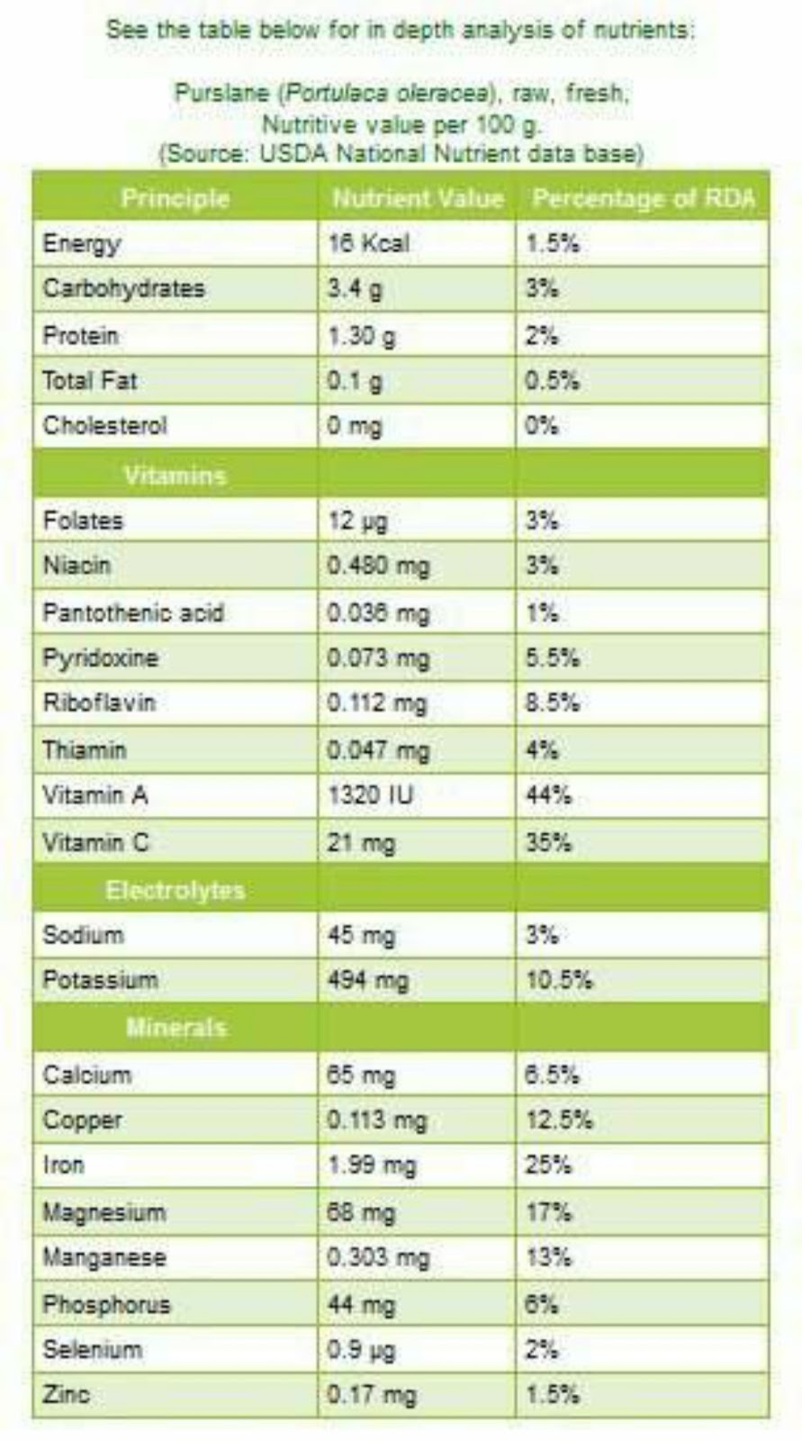 Krokot di Mata Dunia (the incredible superfood)