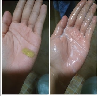 Review: Ingredients Himalaya Purifying Neem Face Wash