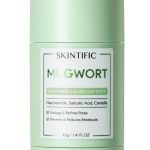 SKINTIFIC Mugwort Acne Clay Stick Ingredients