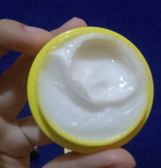 The Face Temulawak Night Cream