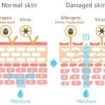 [[UPDATE]] Rekomendasi Moisturizer untuk Skin Barrier