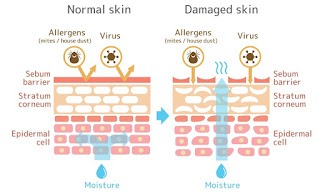 [[UPDATE]] Rekomendasi Moisturizer untuk Skin Barrier