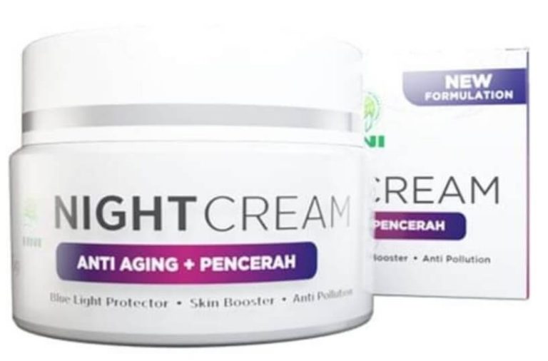Cek Ingrdients HNI Beauty Night Cream