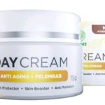 Cek Ingredients HNI Beauty Day Cream