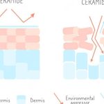 Meningkatkan dan memperbaiki skin barrier rusak dengan produk skincare