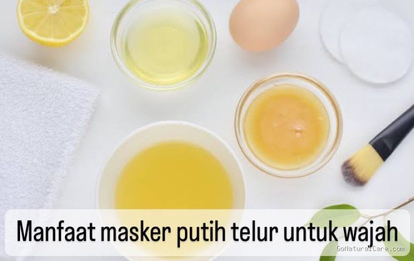 Photo via Bing Images - Panduan Menghilangkan Komedo di Hidung Menggunakan Putih Telur