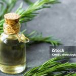 Photo by istockphoto.com - Bolehkah Memakai Minyak Rosemary Murni Langsung ke Akar Rambut Tanpa Pelarut