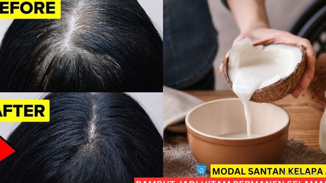 Photo by radarpekalongan.id - Cara Bikin Masker Rambut Santan Kelapa Segar Biar Helai Rambut Berkilau Alami