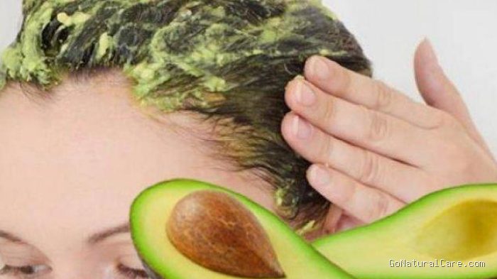Photo by bogor.tribunnews.com - Manfaat Alpukat untuk Mengatasi Rambut Kering dan Rusak