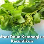 Photo by betv.disway.id - Manfaat Daun Kemangi untuk Mengatasi Kulit Berjerawat secara Alami
