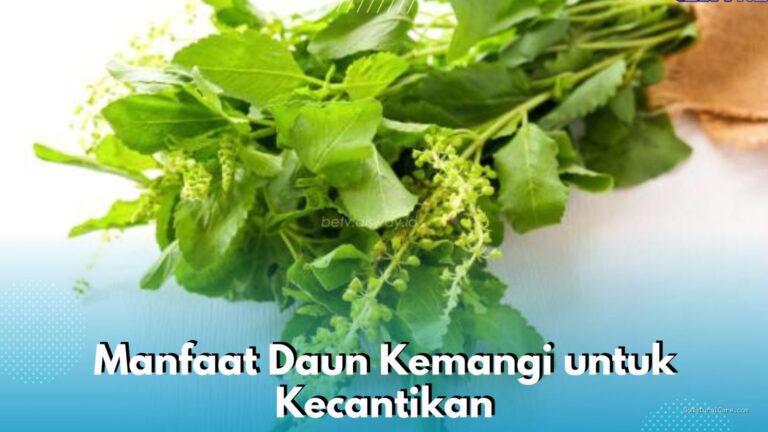 Photo by betv.disway.id - Manfaat Daun Kemangi untuk Mengatasi Kulit Berjerawat secara Alami