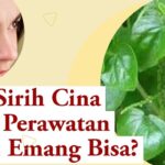 Photo by radarpekalongan.id - Manfaat Daun Sirih untuk Mengatasi Jerawat dan Cara Pakainya