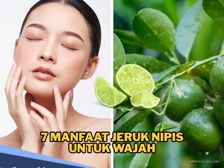 Photo by rbtv.disway.id - Manfaat Jeruk Nipis untuk Mengatasi Kulit Berminyak secara Alami