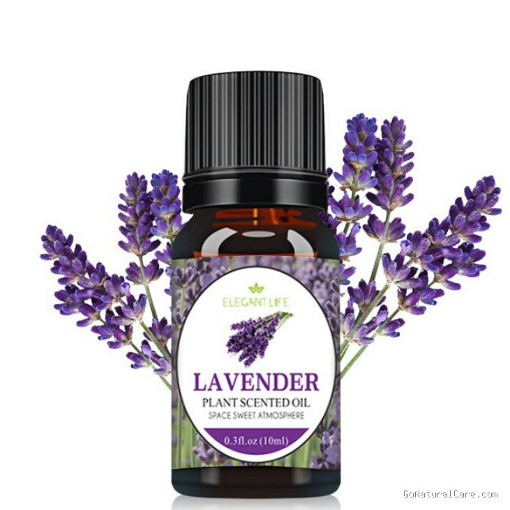 Photo by shopee.co.id - Manfaat Minyak Esensial Lavender untuk Relaksasi dan Kualitas Tidur