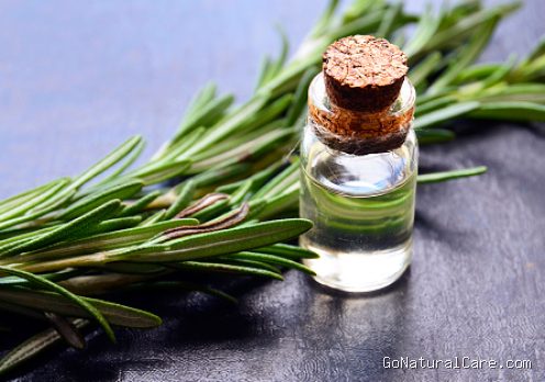 Takaran Tepat Campuran Rosemary Oil dan Jojoba Oil Biar Kulit Kepala Gak Terbakar