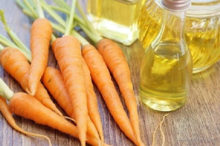 Photo by niaga.asia - Bolehkah Menggunakan Minyak Biji Wortel Carrot Seed Oil Buat Kilau Rambut