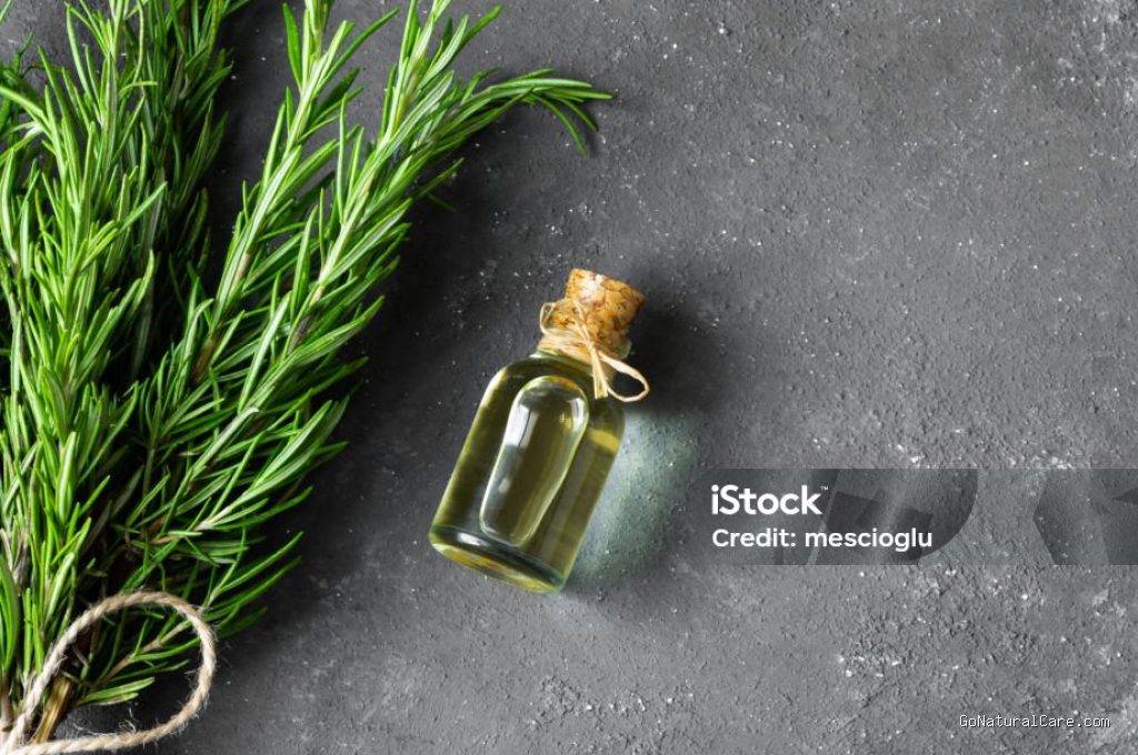 Bolehkah Mengoleskan Minyak Rosemary ke Rambut Anak-anak di Bawah Umur