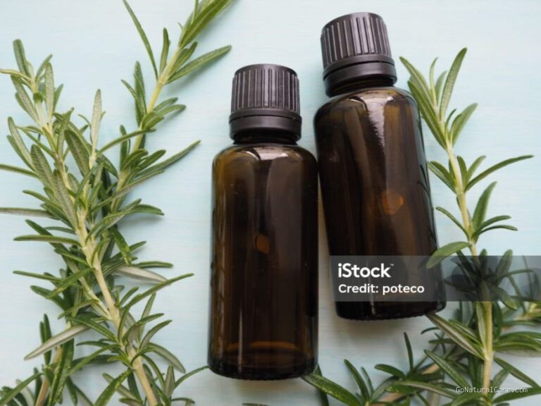 Photo by istockphoto.com - Cara Membuat Minyak Rosemary Sendiri di Rumah Pakai Metode Infused Oil