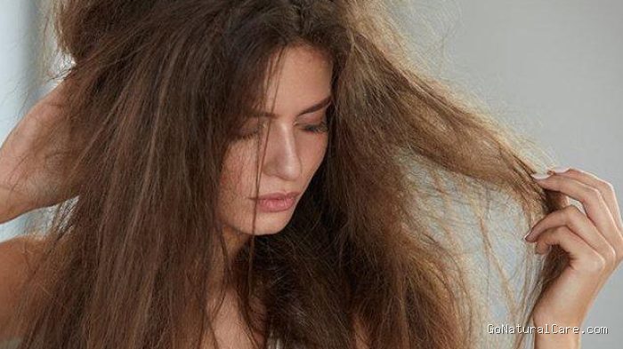 Photo by shopping.tribunnews.com - Ciri Batang Rambut Kelebihan Protein Akibat Salah Bikin Masker Telur Sendiri