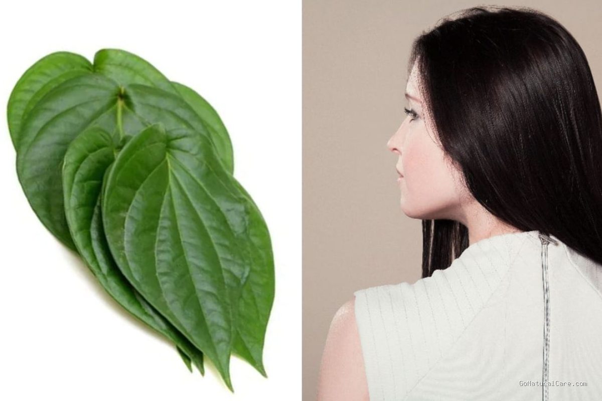 Photo by lifestyle.kompas.com - Penyebab Rambut Malah Kering Kaku Sehabis Dibilas Air Rebusan Daun Sirih