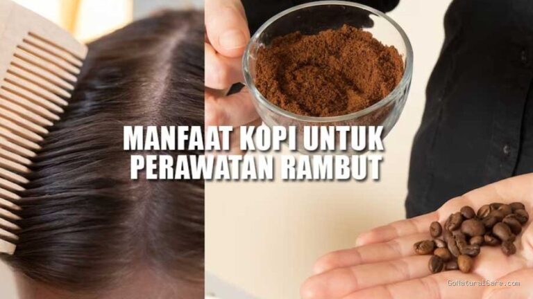 Photo by palpres.disway.id - Trik Membersihkan Sisa Butiran Kopi di Sela Rambut Pasca Scrub Tanpa Sisa